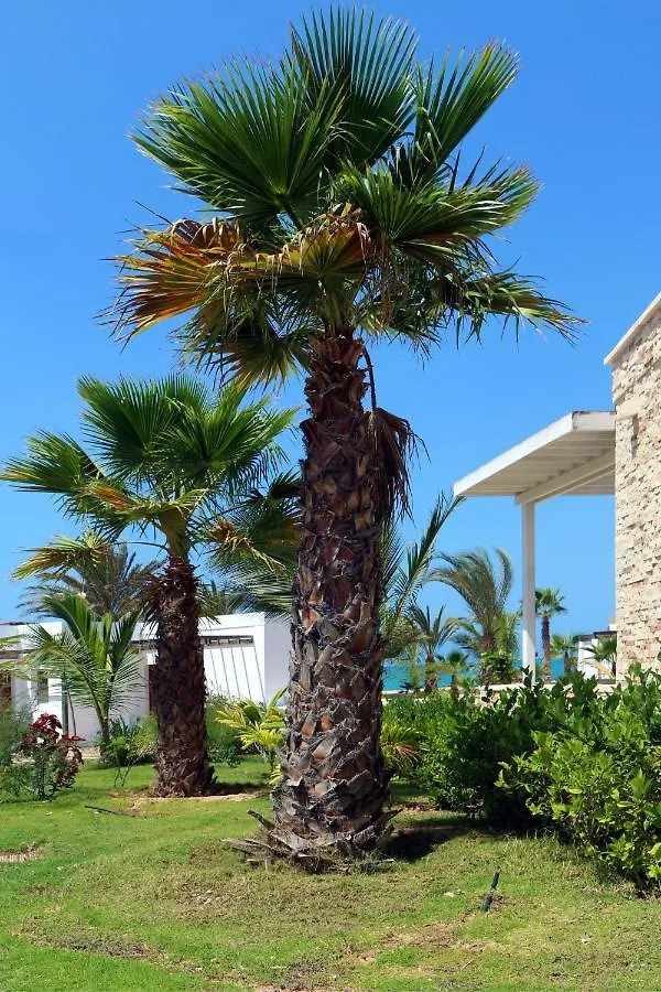 Bed & Breakfast Holidays Praia Chaves Boavista Cape Verde